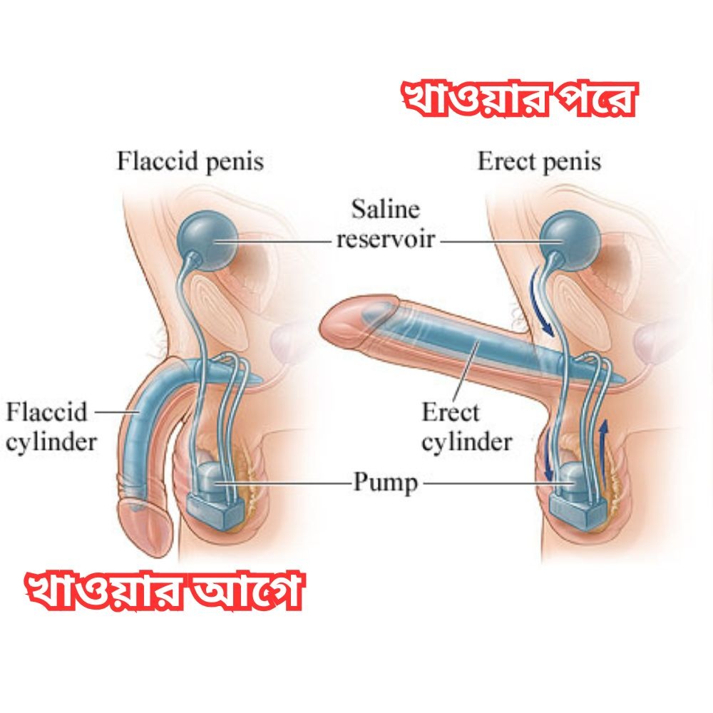 WhatsApp Image 2025-10-25 at 8.33.03 PM